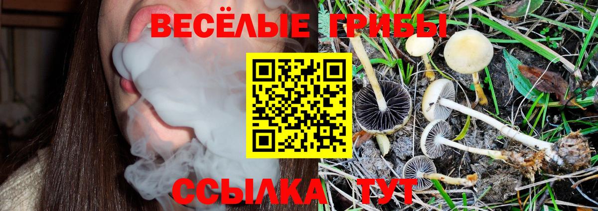 Псилоцибиновые грибы ЛСД  Вход с VPN  Псилоцибиновые грибы Psilocybine cubensis  Бор 